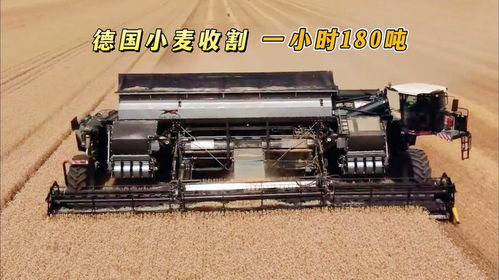 德国研发新型收割机,搭载15.5米宽割台,一小时收割小麦180吨