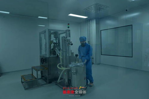 泰安各县市区 功能区迎来重点项目建设 年中考 一