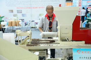抓好行业标准 研发新型基质为黑木耳产业化发展提速 中国食品报网