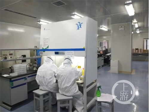 重庆医科大学成功研发新型冠状病毒免疫检测试剂盒