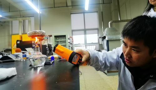 我国自主研发新型材料泡沫陶瓷 保温还能防火