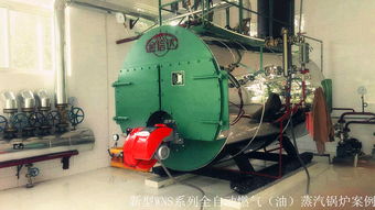 金信达锅炉公司隆重推出新型能源及清洁燃料锅炉 高效.环保.智能运行.省心省力