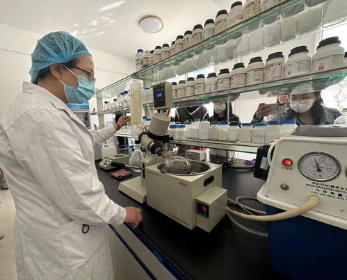 宁夏化妆品风靡俄罗斯市场,新型汽轮机研发与销售齐头并进