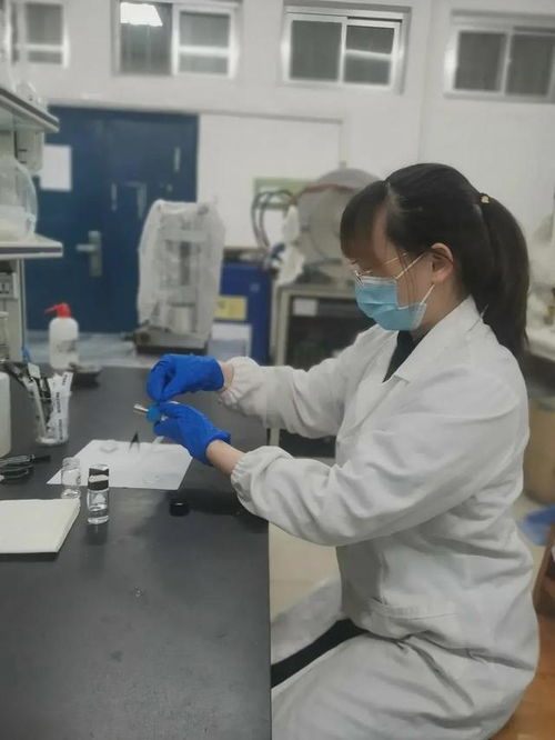 从燕山大学到科技前沿 一位学者的卓越成就